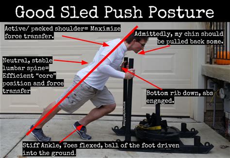 Are you Using the Sled in Your Workouts? You Should be.