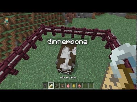 Minecraft Dinnerbone name tag Easter egg: Everything you need to know