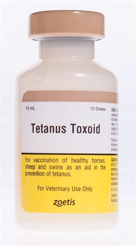 Tetanus Toxoid | Santa Cruz Animal Health