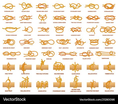 knot types