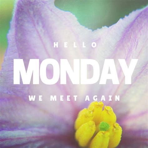 Hello Monday monday monday quotes happy monday monday quote happy monday quotes | Hello monday ...