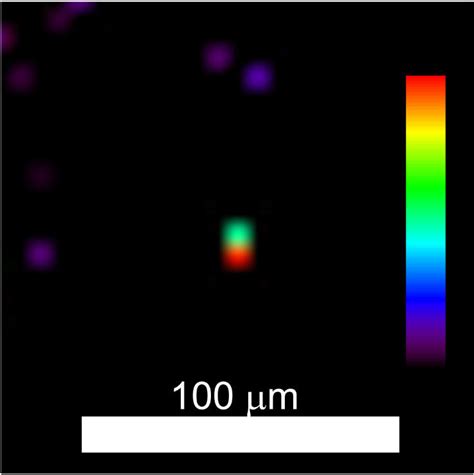 Microscopic image of tetryl particle with subnanogram mass. The color... | Download Scientific ...