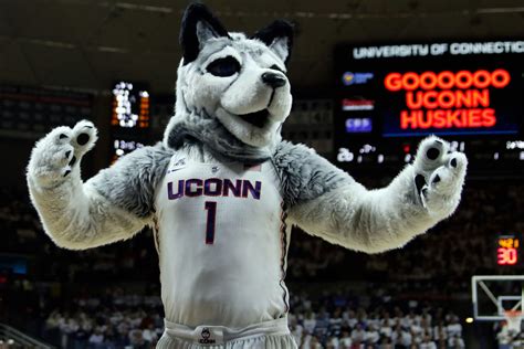 UConn Huskies Daily Roundup - 2/23/17 - The UConn Blog