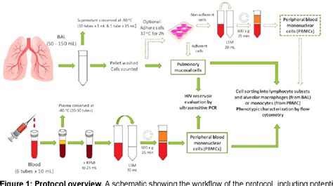 Figure 1 from Processing of Bronchoalveolar Lavage Fluid and Matched Blood for Alveolar ...