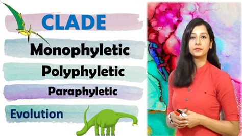 Phylogenetic tree I Clade I Monophyletic I Paraphyletic I Polyphyletic ...