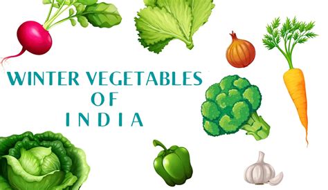 23 Winter season vegetables grown in India