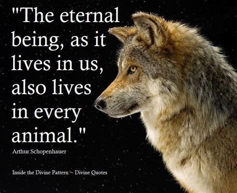 Inspirational Quotes About Wolf. QuotesGram