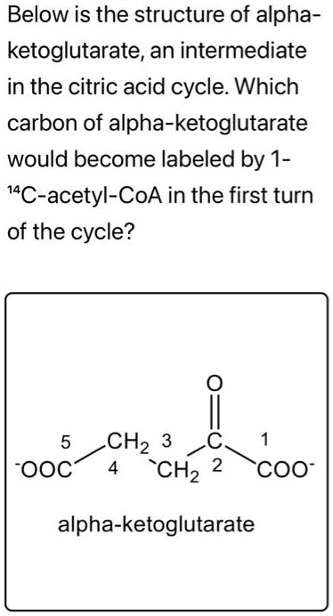 SOLVED: Below is the structure of alpha-ketoglutarate, an intermediate in the citric acid cycle ...