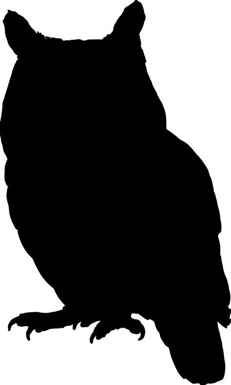 Silhouette Of Screech Owl | Owl silhouette, Silhouette clip art, Bird silhouette