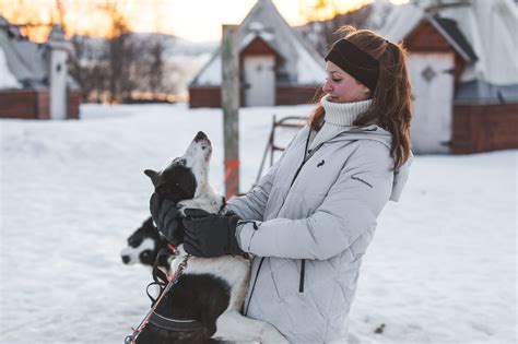 Dog sledding in beautiful winter landscape in great weather - nothing ...