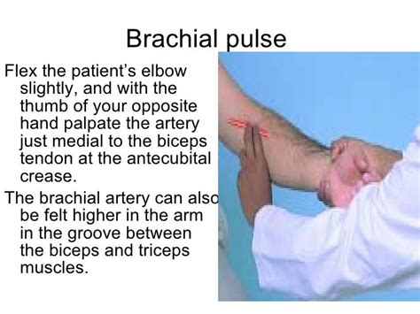 Peripheral Vascular Examination