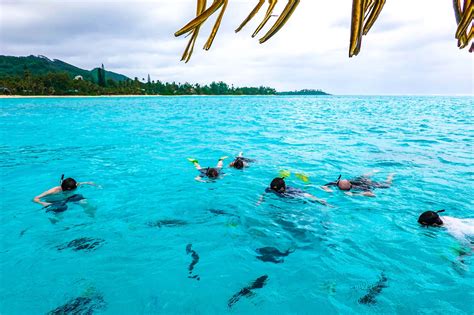 Exploring Muri Lagoon with Koka Lagoon Cruises - Explore Shaw