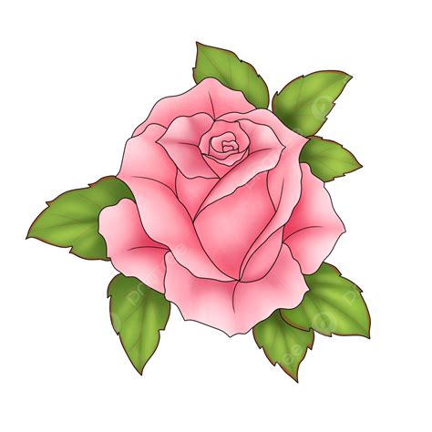 Beautiful Pink Roses And Leaves, Roses, Pink Roses, Leaves PNG Transparent Clipart Image and PSD ...