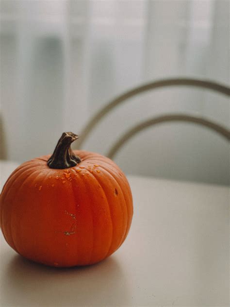 Download Minimalist Pumpkin Aesthetic Photography Wallpaper ...