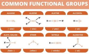 Functional Groups in Organic Chemistry | ChemTalk