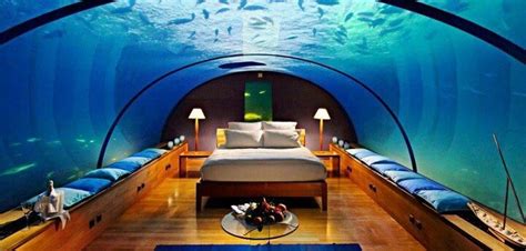 Isn't that amazing !!! | Underwater hotel, Florida hotels, Underwater hotel florida