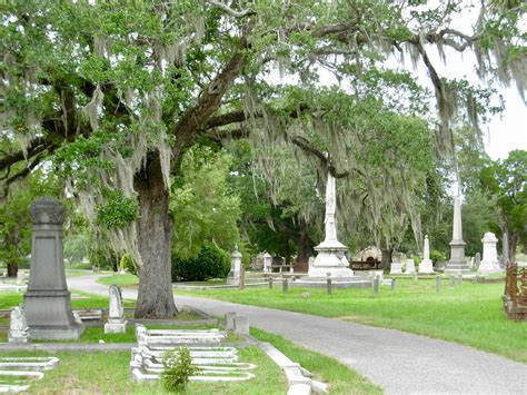 Locked In - Charleston's Magnolia Cemetery - Southern Spirit Guide