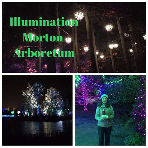 A Little Time and a Keyboard: Exploring Illumination at The Morton ...