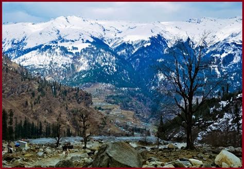 The Ultimate guide to Solang valley Manali - Geotourism