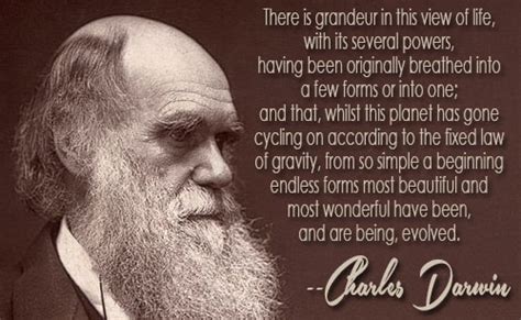 Charles Darwin Quotes