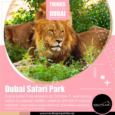 #THINGSTODOINDUBAI: Embark on a Wild Journey at Dubai Safari Park ...