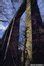BBC - North East Wales - In pictures: Pontcysyllte Aqueduct