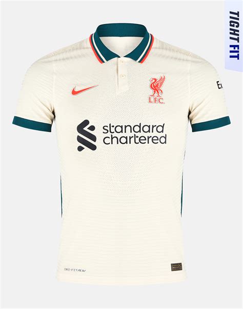 Nike Adult Liverpool 21/22 Vapor Match Away Jersey - Grey | Life Style ...