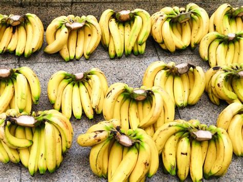 Do Bananas Help Digestion? | Livestrong.com