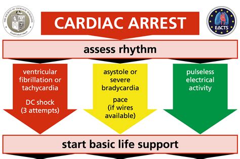 Courses – RNSHICU