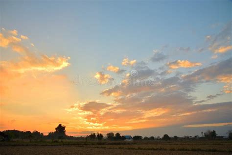 Golden Light on Sky during Sunset in the Evening. Stock Image - Image of plant, farmland: 109282179