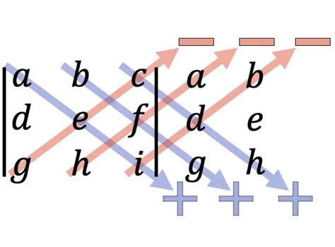 Latex Rule – Telegraph