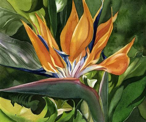 Bird Of Paradise Watercolor Painting by Alfred Ng | Pixels