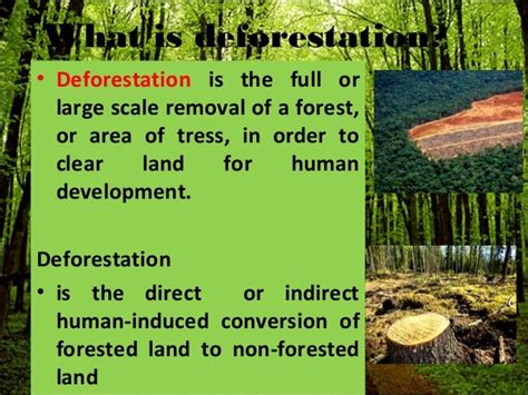 deforestation solutions - DriverLayer Search Engine