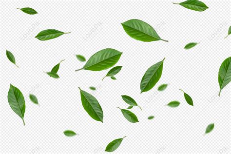 Green Leaf, Season, Flying Leaves, Flying Leaf PNG Hd Transparent Image ...
