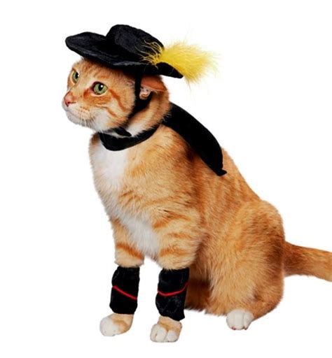 Kitty! | Pet halloween costumes, Cat costumes, Pet costumes