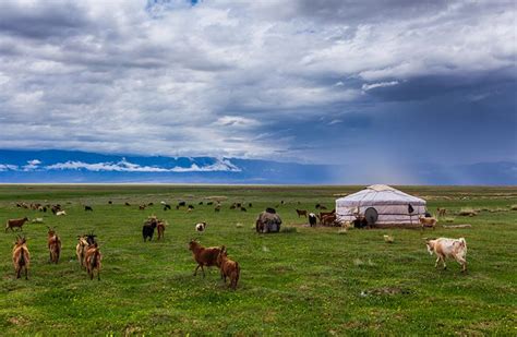 Essential Items to Pack for Your Trip to Mongolia