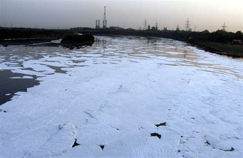 ‘Discharged untreated sewage leads to Yamuna pollution’ - The Sunday ...