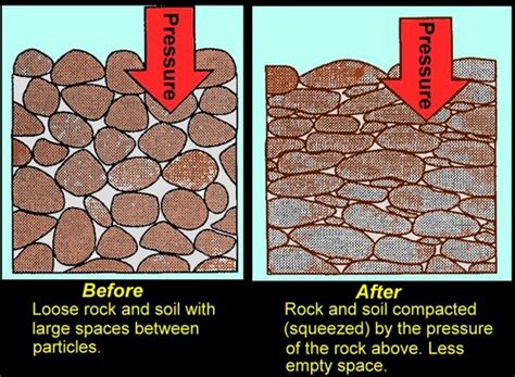 Sedimentary Rocks and Fossils Vocabulary Flashcards | Quizlet