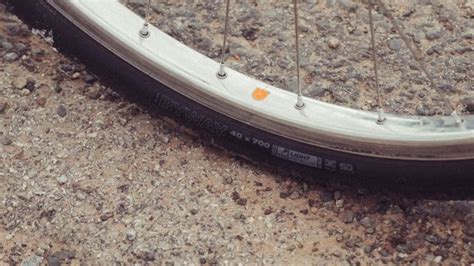 WTB Byway review: An all-road tyre that is compromised by its shape ...