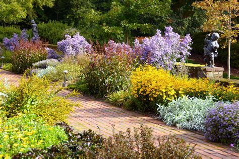 Native Flowering Trees New England / Woody Plants Simple Key Go Botany / Native plant trust is ...