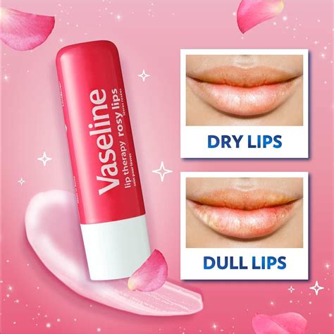 Vaseline Lip Therapy Stick Rosy Lips & Cocoa Butter Variety Pack - 4.8g ...