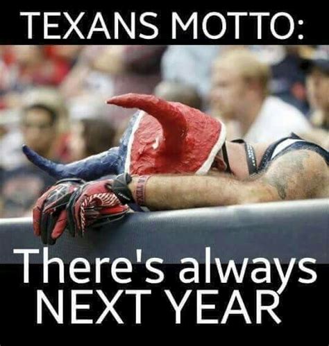 Next year Texans Memes, Nfl Memes, Football Memes, Sports Memes ...