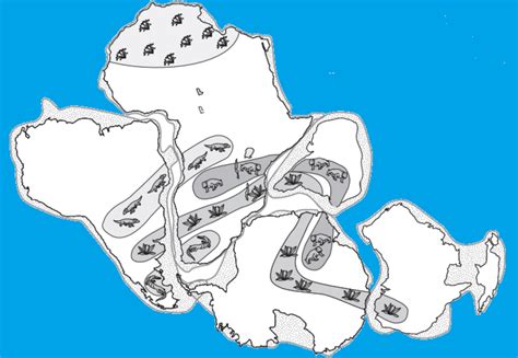 Lesson Pangaea - Wegener's Puzzling Evidence | BetterLesson