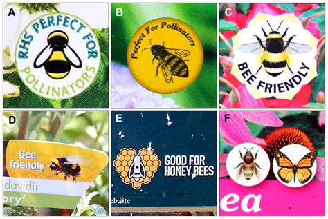 Most ornamental plants on sale in garden centres are unattractive to flower-visiting insects [PeerJ]
