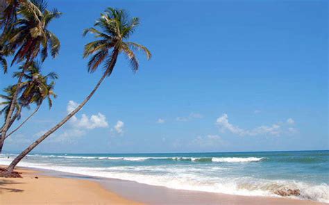 45 Famous Beaches In Goa To Put On Your List of 2023