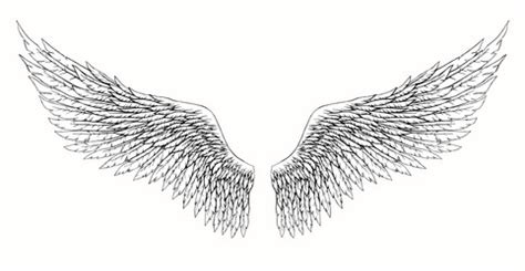 Angel Wings Drawing Vector Images (over 9,700)