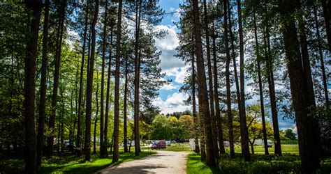 Sherwood Pines Campsite, Nottinghamshire | Camping in the Forest