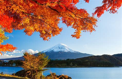 Japanese Autumn Desktop Wallpapers - Top Free Japanese Autumn Desktop ...