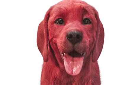 'Clifford The Big Red Dog' Movie Teaser Reveals A Big CG Red Dog And Fans Don't Know How To ...