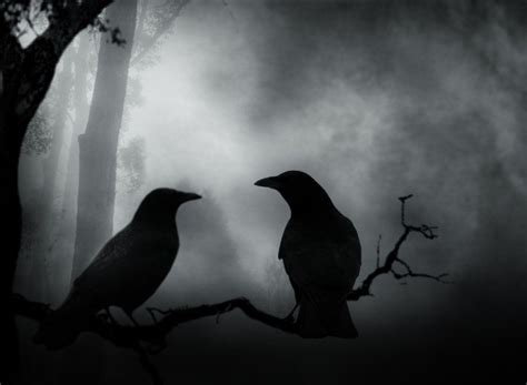 Dark Raven Wallpapers - Top Những Hình Ảnh Đẹp